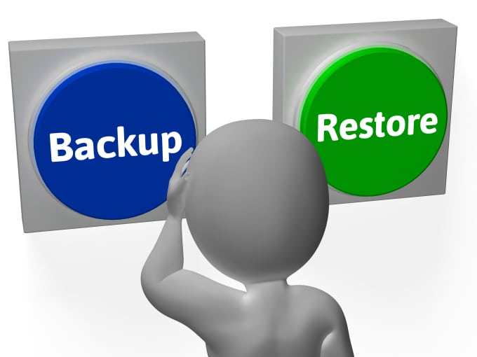 Gig Preview - Restore website from backup