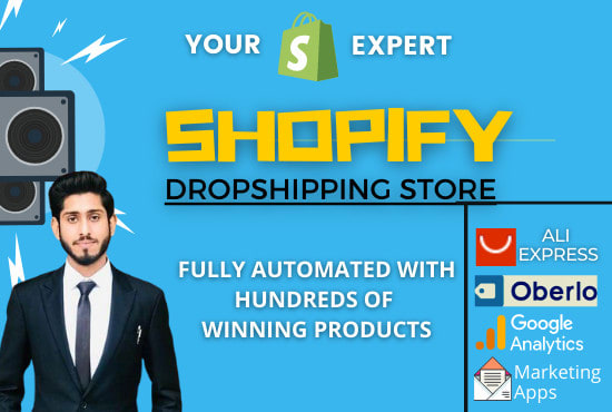 Gig Preview - Create 6 figure shopify dropshipping store that sells