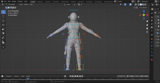 Gig Preview - Do 3d rigging in blender