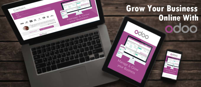 Gig Preview - Design odoo website and odoo theme with SEO ranking