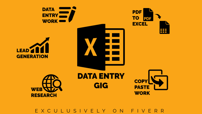 Gig Preview - Do  data entry and copy paste