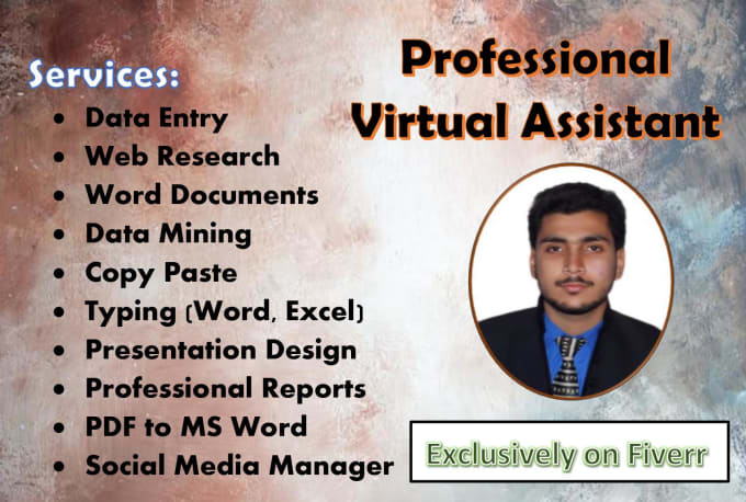 Gig Preview - Be your virtual assistant for data entry and web research