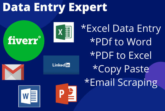 Gig Preview - Do data entry, copy paste and excel data entry work for you