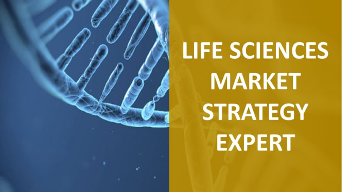 Gig Preview - Life sciences market research with my big 4 experience