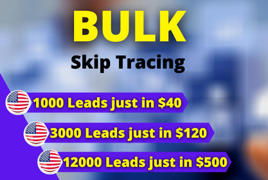 Gig Preview - Do real estate bulk skip tracing and accurate skip tracing