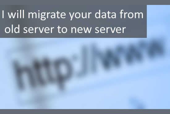 Gig Preview - Migrate your data from old server to new server