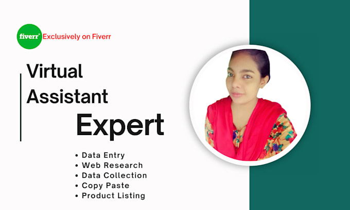 Gig Preview - Be your long term virtual assistant for data entry works