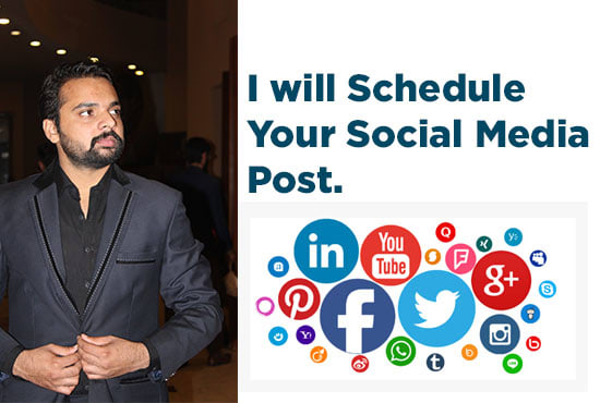 Gig Preview - Schedule your social media posts via buffer, hootsuite