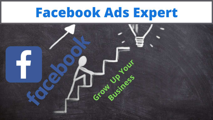 Gig Preview - Be your premium facebook ads manager