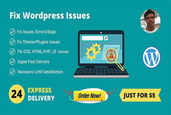 Gig Preview - Fix any wordpress errors and bugs or html, css issues