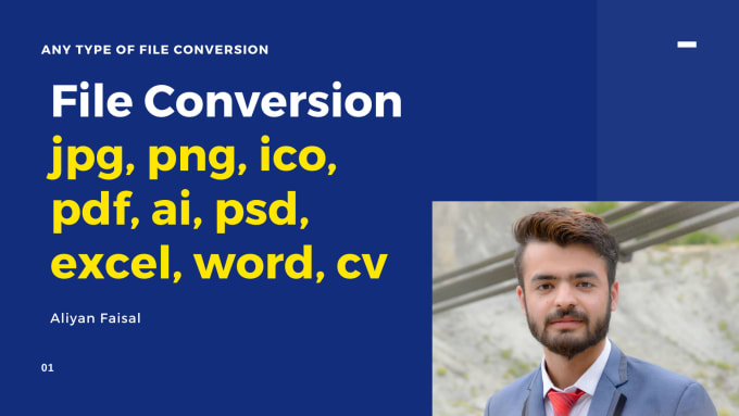 Gig Preview - File conversion PDF jpg png ico excel word cv