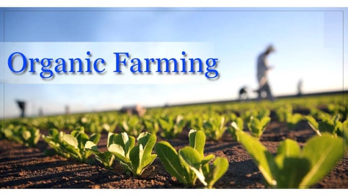 Gig Preview - Assist you in organic farming