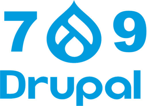 Gig Preview - Develop custom drupal modules for your website