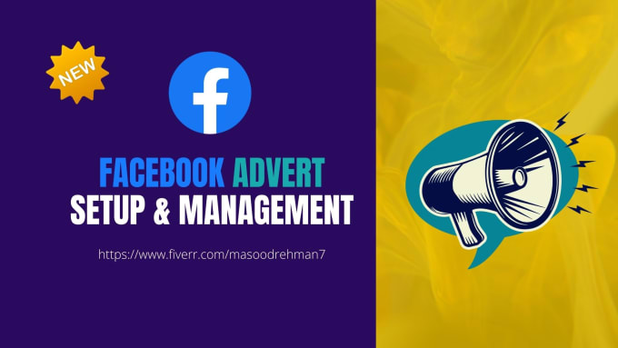 Gig Preview - Do facebook advert setup and management