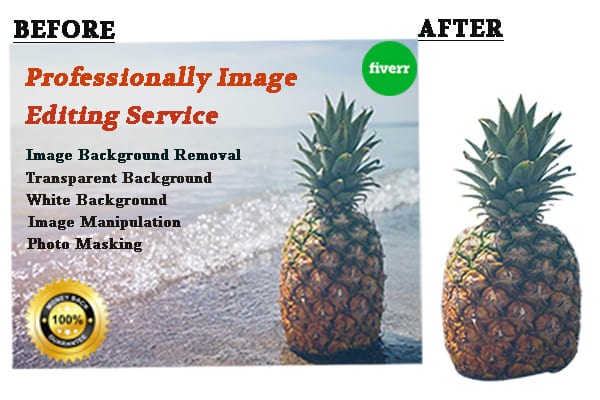 Gig Preview - Image background removal, transparent, and fast delivery