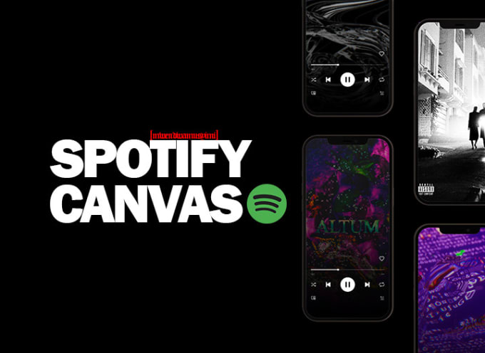 Gig Preview - Professionally create your spotify canvas