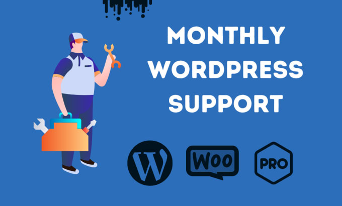 Gig Preview - Provide monthly wordpress maintenance, support and tech help