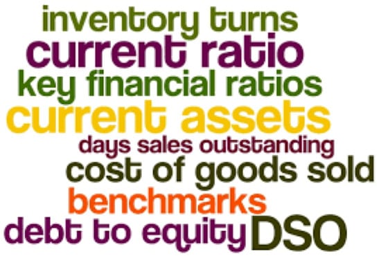 Gig Preview - Calculate ratios and do financial analysis