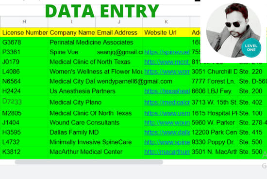 Gig Preview - Copy paste, excel data entry, typing, data entry