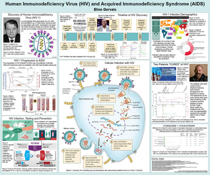 Gig Preview - Make attractive engineering and medical poster presentations for conferences