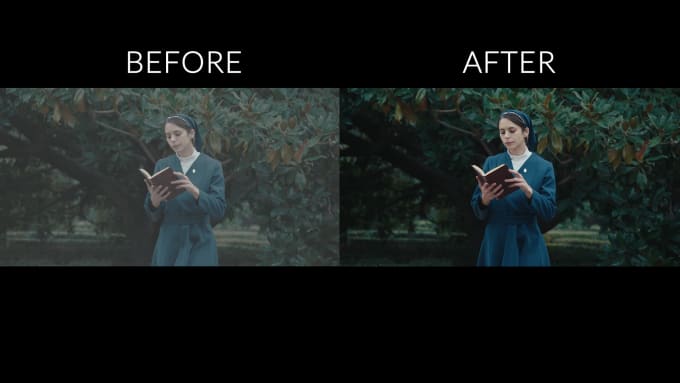 Bestseller - do professional video color correction and color grading