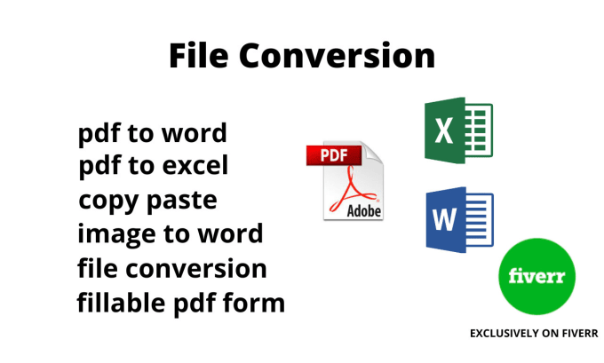 Gig Preview - Convert PDF to word or excel