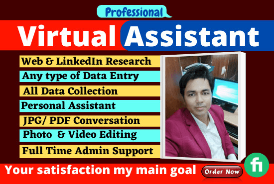 Gig Preview - Be your virtual assistant for any type of data entry and web research