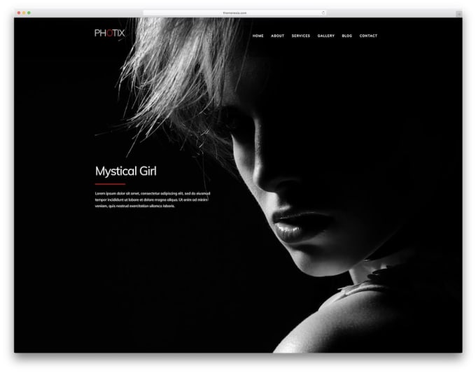 Gig Preview - Build your photography, portfolio website with an amazing gallery