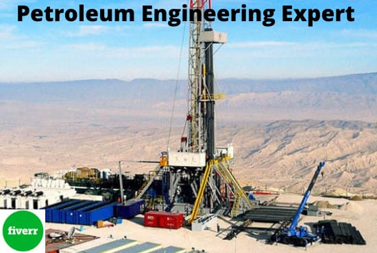 Gig Preview - Assist you in petroleum and chemical engineering research