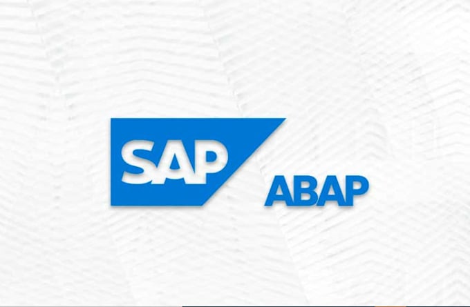 Gig Preview - Provide sap abap support and do custom development