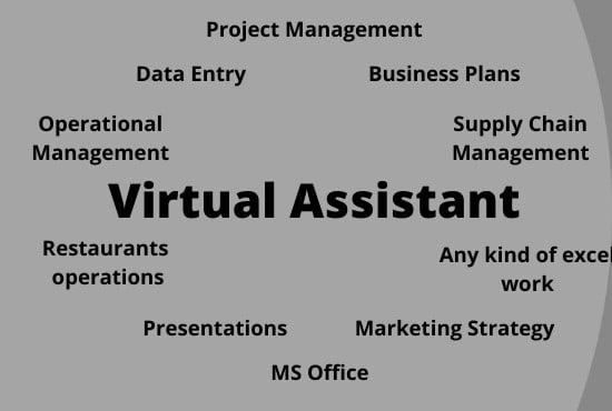 Gig Preview - Be your virtual assistant for any kind of work