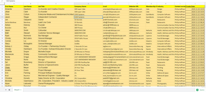 Gig Preview - Do data entry, copy paste, web research, excel format