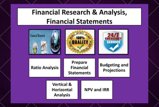 Gig Preview - Perform financial and ratio analysis, npv, irr