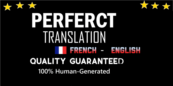 Gig Preview - Translate srt files english to french and vice versa within 24 hours