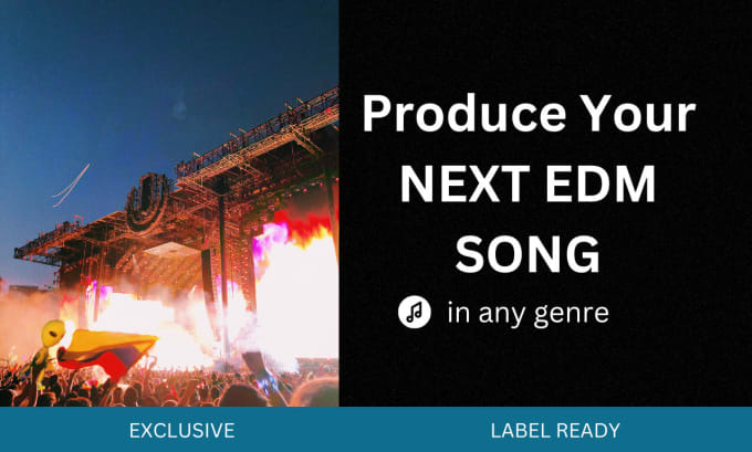 Gig Preview - Produce and mix your next edm hit song