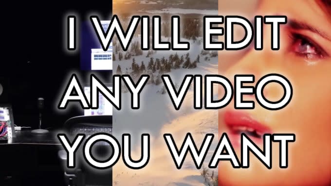 Gig Preview - Professionally edit your video