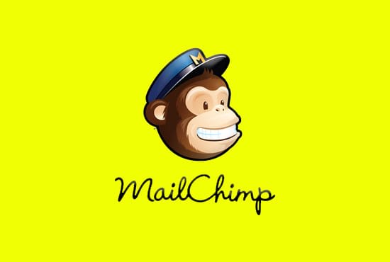 Gig Preview - Be your mailchimp expert and manager