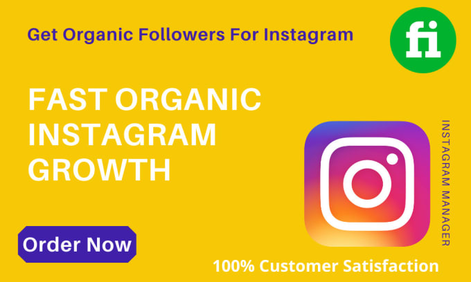 Gig Preview - Do fast organic instagram growth