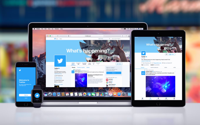 Gig Preview - Manage and optimize your twitter ads campaigns