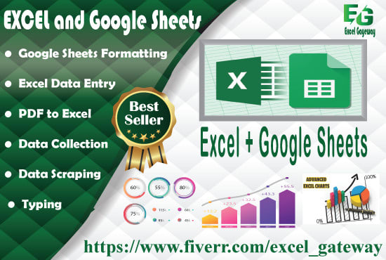 Gig Preview - Do excel spreadsheet, dashboard, pivot and google sheet work