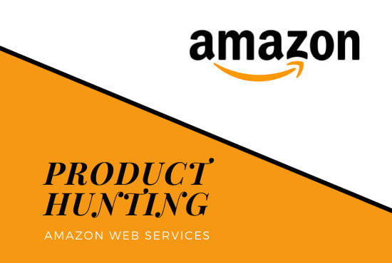 Gig Preview - Do amazon winning micro niches product hunting pl research