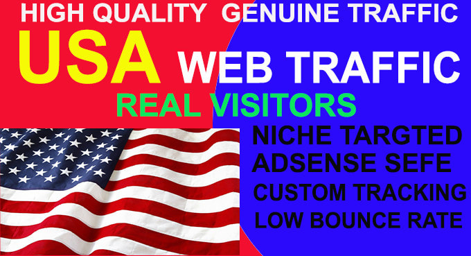 Gig Preview - Bring real daily visitors,USA targeted web traffic to your website