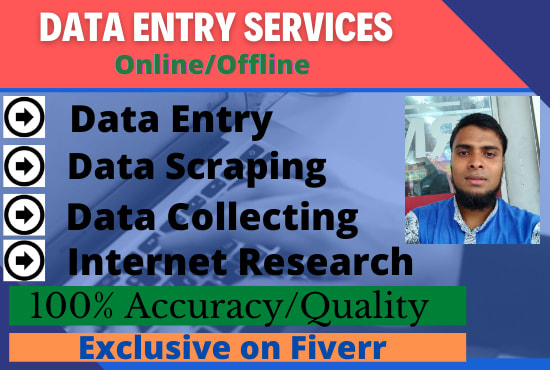 Gig Preview - Do perfect data entry, data scraping and data collection