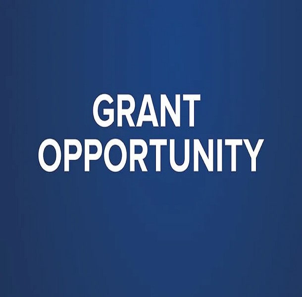 Gig Preview - Research grants for your organization