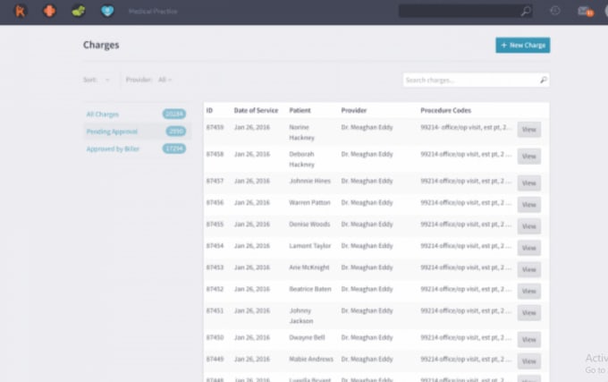 Gig Preview - Manage medical billing, charge entry and payment posting