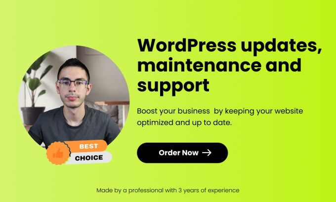 Gig Preview - Do wordpress updates, maintenance and support