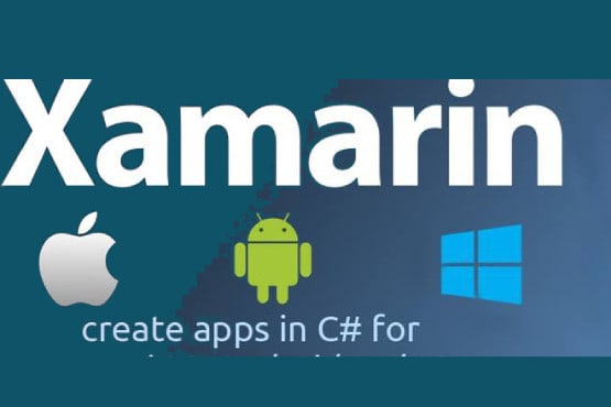 Gig Preview - Develop cross platform ios android xamarin forms apps