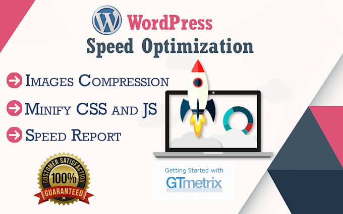 Gig Preview - Do wordpress web speed optimization on google pagespeed