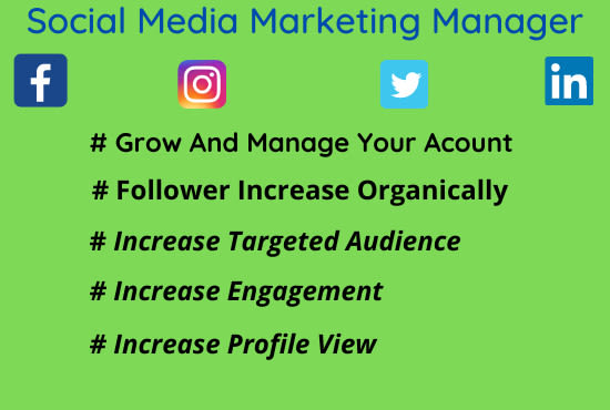 Gig Preview - Be your social media marketing manager