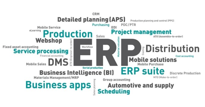 Gig Preview - Implement erp and crm for your business